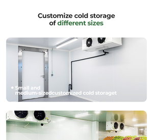 Contenedor Refrigerado con Dimensiones Personalizables, -25~+10C, Control Automático, Refrigerante R404a, 1 Puerta, 380/400VAC, Personalizado - Product Image 6