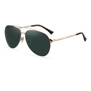 Lunettes de soleil en métal italien personnalisées de haute qualité pour hommes et femmes Double pont <span class=keywords><strong>photochromique</strong></span> cadre doré <span class=keywords><strong>polarisé</strong></span> dernière conception - Product Image 2
