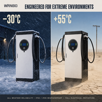 Borne de recharge rapide DC pour véhicules électriques Wanbo-580 20-240kW à double pistolet, large plage de puissance, LED verte, CE