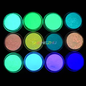 Factory Glow in Dark Luminescent Powder Epoxy Resin Glow In the Dark Acrylic Nail Pigment Powder