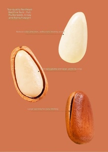Pinoli Freschi Originali del Nord-Est 500g, Sgusciati a Mano, Conservazione a Temperatura Ambiente, in Sacchetto/Barattolo - Product Image 2