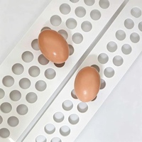 Bande transporteuse perforée en PP haute résistance pour œufs, 100 mm de large, 1,2 mm d'épaisseur, pour cages de poules pondeuses et systèmes de transport d'œufs en élevages avicoles
