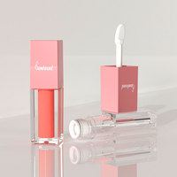 Flacon de teinture à lèvres avec logo personnalisé, contenants carrés pour gloss à lèvres, tube vide pour gloss à lèvres avec tube de gloss à lèvres de 3,5 ml