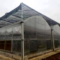 Structure de serre commerciale hydroponique multi-voûtes de grande taille avec couverture en film PE, système d'irrigation et de ventilation automatisés, personnalisable