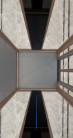 Ascensore Residenziale Moderno 270° con Vetro Panoramico, Senza Ingranaggi, AC, Soffitto Stellato Oro Rosa per Villa