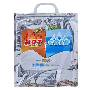 2024 hot sale thermosbeutel für einweg fabrik kundenspezifische thermisch isolierte versandtasche für lebensmittel lebensmittel