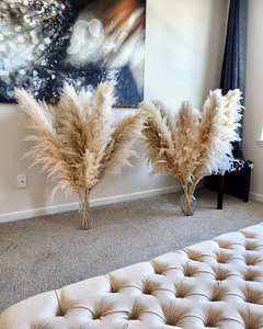 <span class=keywords><strong>PAMPAS</strong></span> GRASS 2-4ft Grande Vente Boho Home Decor Décorations Florales De Mariage Arrangement De Fleurs <span class=keywords><strong>Pampas</strong></span> Bouquet Bohème - Product Image 4