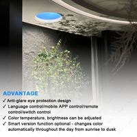 Coelux Fenêtre de toit, Grande lucarne ronde, Faux plafond artificiel, Dôme de plafond, Panneau lumineux LED ciel bleu