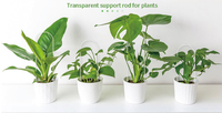 Treillis pour plantes en acrylique transparent en forme de U de 19 pouces/38 pouces avec support pour tomates, couleur et logo personnalisés pour les plantes grimpantes