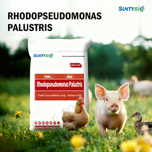 Bacterias fotosintéticas para acuicultura, aminoácidos de grado alimenticio, aditivos para alimento de peces y camarones - Product Image 4