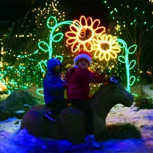 Luces decorativas LED con diseño de flor 3D grande, color personalizado, para interiores y exteriores, con clasificación IP65, para decoración navideña y festiva. - Product Image 4