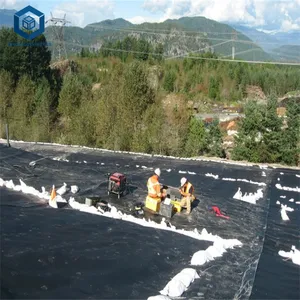 Wasserdichte Membran FOB Preis 1,5mm HDPE Geo membrane Pond Liner für Deponie projekt in Brasilien