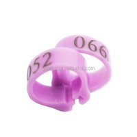 Bague numérique pour pigeon, 8 mm, plastique écologique, lot de 100 pièces en boîte, numéro de série 001-100, violet, pour pigeons de course, fournitures pour oiseaux