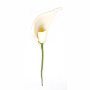 TALLO FLOR CALLA LILY DE 19 ", TALLO <span class=keywords><strong>VERDE</strong></span> [EF11082] - Product Image 5