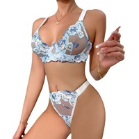 Vente en gros de lingerie féminine bleu clair, lingerie sexy pour filles, sous-vêtements en maille transparente florale avec fleurs brodées