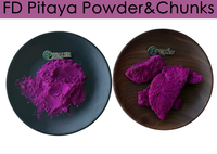 Poudre de fruit du dragon lyophilisée, poudre de pitaya naturelle, fournisseur en gros, poudre de jus de fruit du dragon rouge pour boissons, smoothies et pâtisseries