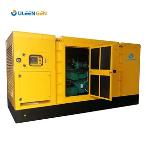 Set generator listrik harga pabrik gerador dizel 250kw 300kva dengan Cummins motor generator diesel senyap