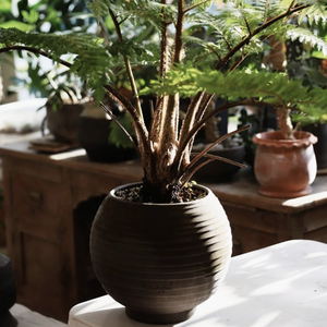 Nuevos Productos 2025 Maceta Grande de Cerámica Blanca <span class=keywords><strong>con</strong></span> Asa para Jardín, Diseño de Flores Tejidas, para <span class=keywords><strong>Suculentas</strong></span> Artificiales, MOQ - Product Image 3