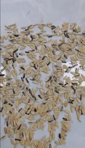 Messico Seed Optical Cleaner macchina per la pulizia dei semi di girasole selezionatore di colori per semi di girasole olio nero