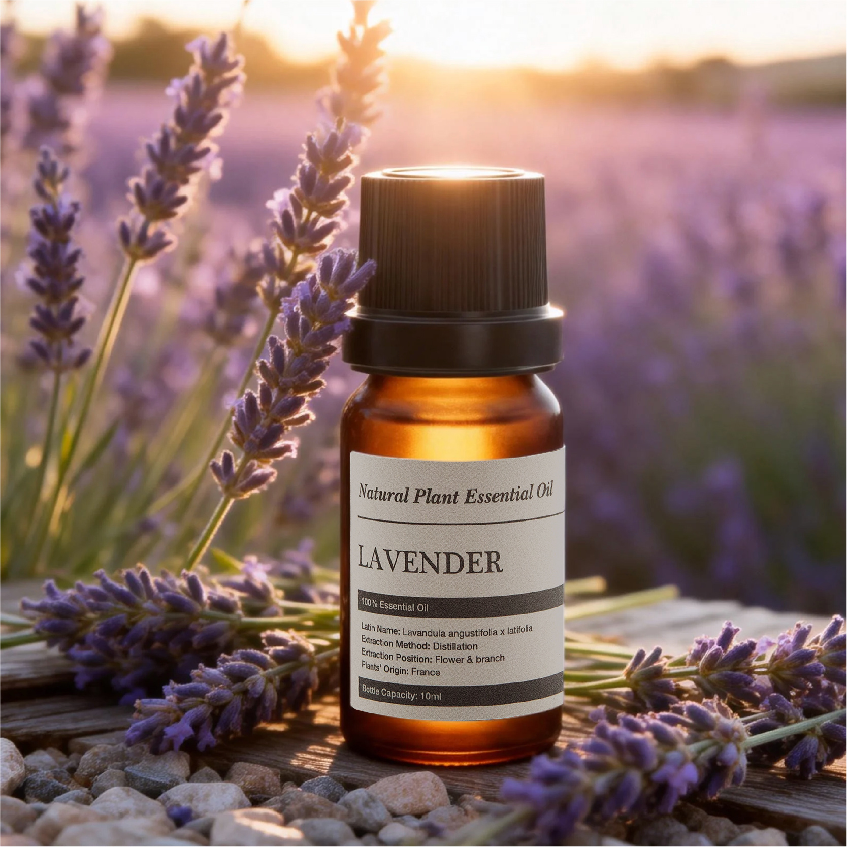 Lavender