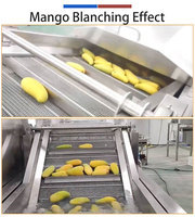 1T/H Mango Verwerkingsmachine Mango Was-, Blancherings- en Hetelucht Droogmachine Op Maat Gemaakte Mango Verwerkingslijn