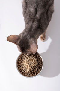 Lovidovi Polvo <span class=keywords><strong>de</strong></span> Yema <span class=keywords><strong>de</strong></span> <span class=keywords><strong>Huevo</strong></span> Nutritivo a Granel con Proteína IgY - Suplemento para Gatos que Reduce y Neutraliza los 3 Alérgenos Fel <span class=keywords><strong>D1</strong></span> OEM - Product Image 6