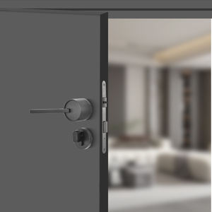 Juego <span class=keywords><strong>de</strong></span> cerradura <span class=keywords><strong>de</strong></span> manija <span class=keywords><strong>de</strong></span> puerta <span class=keywords><strong>de</strong></span> <span class=keywords><strong>diseño</strong></span> moderno <span class=keywords><strong>de</strong></span> gran venta Interior <span class=keywords><strong>de</strong></span> zinc <span class=keywords><strong>de</strong></span> alta calidad para uso en el baño Hecho en China para manija <span class=keywords><strong>de</strong></span> puerta <span class=keywords><strong>de</strong></span> villas - Product Image 5