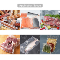 Machine industrielle d'emballage sous vide à double chambre pour sachets d'ail pelé OCEAN et emballages de riz, scelleuse sous vide pour la viande