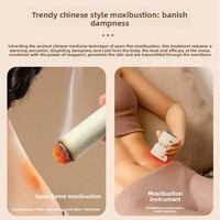 Nouveau Masseur Facial Électrique Portable à Batterie pour Moxibustion et Gua Sha, avec Importation de Fumée de Moxa et Pierre Bian