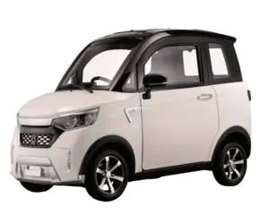 LYLGL Neu zugelassene EEC-zertifizierte elektrische Mini-Autos für Erwachsene New Energy Vehicles Adult Cabin Scooter
