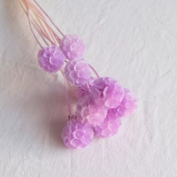 Fleur séchée en gros, Scabiosa naturelle préservée, Fleur décorative, Fruit de moulin à vent pour mariage, maison, bureau, fête