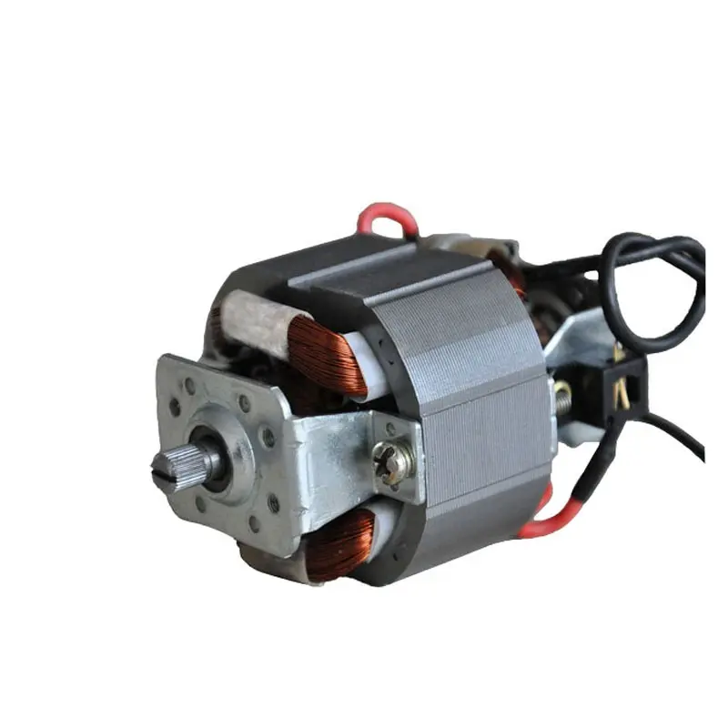 Çin tedarikçisi mikro 5430 elektrik motoru AC evrensel Motor için Blender kıyma makinesi