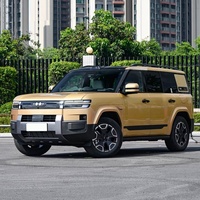 SUV électrique d'exportation Fangchengbao Ti7, véhicule de luxe de taille moyenne à grande, 5 places, couleur personnalisée