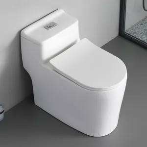 Inodoro – articles sanitaires pour toilettes, placard à eau, siphonique, chasse d'eau, wc, toilettes en céramique, montage au sol, salle de bain, ensemble de bols de toilette