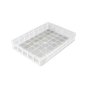 Caja para incubar huevos, caja blanca de la mejor calidad para máquina de incubación, venta directa de fábrica