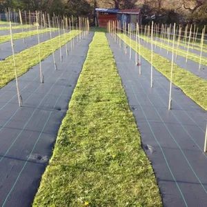 Cubierta de suelo de tela agrícola Cubierta de suelo de estera tejida de poliéster