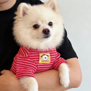 Pet cat and <b>dog</b> <b>clothes</b>, dopamine-infused, breathable, thin inner layer, Corgi and Bichon Frise <b>small</b> <b>dog</b> <b>clothes</b> <b>for</b> spring - Product Image 3