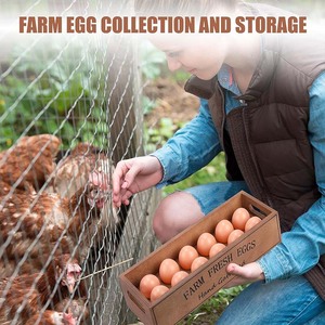 2 Pieces Farm <strong>Wooden</strong> Eggs Crate for 12 Fresh Eggs Stackable <strong>Wooden</strong> Crates for Display Rustic Egg <strong>Storage</strong> <strong>Box</strong> With Handle - Product Image 2