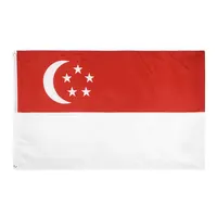 JOHNIN Marchio Made Commercio All'ingrosso 3 * 5FT 75D Poliestere maglia di Stampa Dello Schermo di Seta Singapore Bandiera Bandiera Nazionale