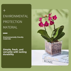 Offre Spéciale spécial classique écologique Transparent <span class=keywords><strong>racine</strong></span> visualisation plastique <span class=keywords><strong>racine</strong></span> contrôle <span class=keywords><strong>carré</strong></span> respirant Phalaenopsis Pot de fleur - Product Image 5
