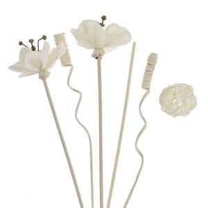 Botol Set buluh keramik tongkat Diffuser arang dengan sumbat plester wangi jam pasir bunga ekstra besar 2000Ml hijau - Product Image 4