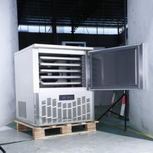 Congelatore commerciale a digiuno congelamento di <span class=keywords><strong>piccole</strong></span> <span class=keywords><strong>dimensioni</strong></span>-40-60-80 gradi compatto abbattitore abbattitore abbattitore per il congelamento - Product Image 6