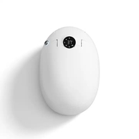 Nouvelle sortie : Ensemble de salle de bain sanitaire intelligent monobloc, WC intelligent en forme d'œuf avec bidet féminin et chasse d'eau automatique