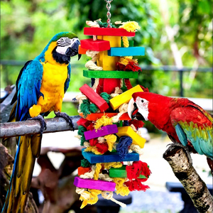 Eco-Friendly Natural Wood Chewing Bird <strong>Parrot</strong> Beak <strong>Toy</strong> Soft Plush Cotton Tearing <strong>Toy</strong> for African <strong>Grey</strong> <strong>Parrots</strong> Packaged in Carton - Product Image 4