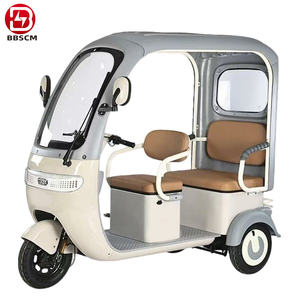 Triciclo Elettrico a 3 Ruote 60V 1000W, Vendita all'Ingrosso dalla Cina, 3 Posti per Adulti, Trasporto Bambini e Carico - Product Image 2