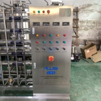 Usine de traitement de l'eau 500L/H Filtre à osmose inverse Machine à eau pure cosmétique en acier inoxydable à deux étages
