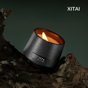 Candela Aromaterapica Avanzata Niche Sense Light Wilderness, Lenitiva, 4-12 Ore, per Uomini e Donne, Regalo per la Vita Quotidiana, Stile Occidentale Muschiato - Product Image 3
