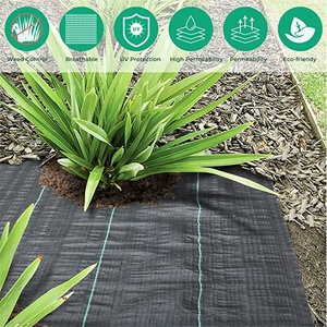 nera agricoli tessuto pp <span class=keywords><strong>stuoia</strong></span> erbaccia controllo tessuto pp coprire barriera di terra erba <span class=keywords><strong>giardino</strong></span> <span class=keywords><strong>stuoia</strong></span> erosione <span class=keywords><strong>stuoia</strong></span> di controllo - Product Image 6
