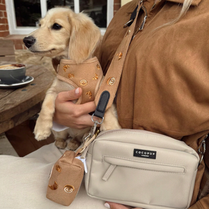 Ensemble Harnais et Laisse Brodé<span class=keywords><strong>s</strong></span> pour Chien avec Nœud Papillon, Harnais Gilet Doux et Réglable pour Chiot, Ensemble Collier de Luxe pour Animaux de Compagnie - Product Image 5