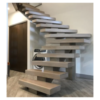 Escalier à monopoutre en acier chromé avec marches en bois Zebrano, balustrade en verre transparent et éclairage sous les marches